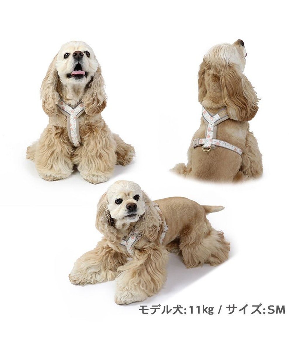 PET PARADISE 反射 花柄 アクティブハーネス 【ＳM】中型犬 