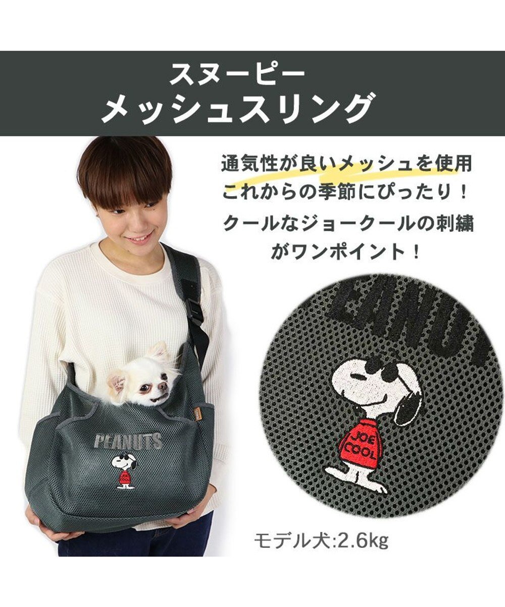 PET PARADISE スヌーピーソフト メッシュ 【超小型犬】 