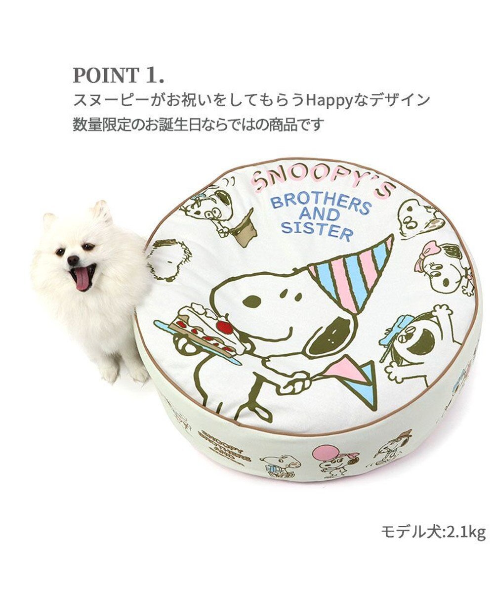 PET PARADISE 【限定250個】スヌーピー 限定 バースデー クッション 