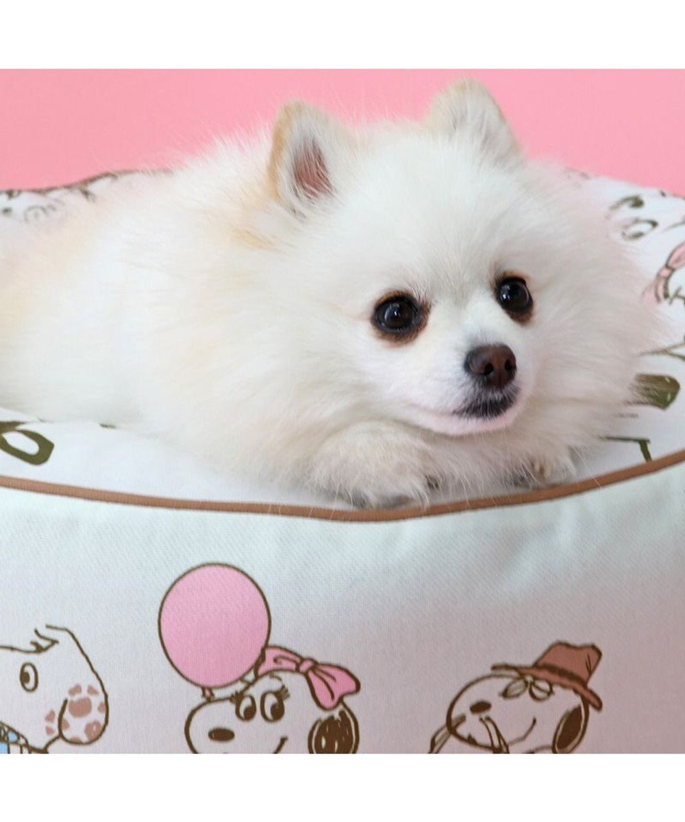 PET PARADISE 【限定250個】スヌーピー 限定 バースデー クッション 