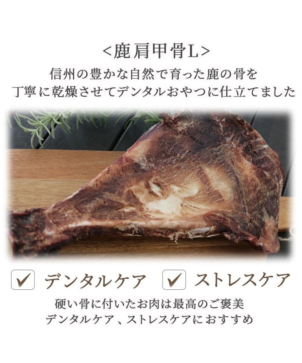 PET PARADISE 鹿 肩甲骨 デンタルおやつ Lサイズ×1本 純国産 