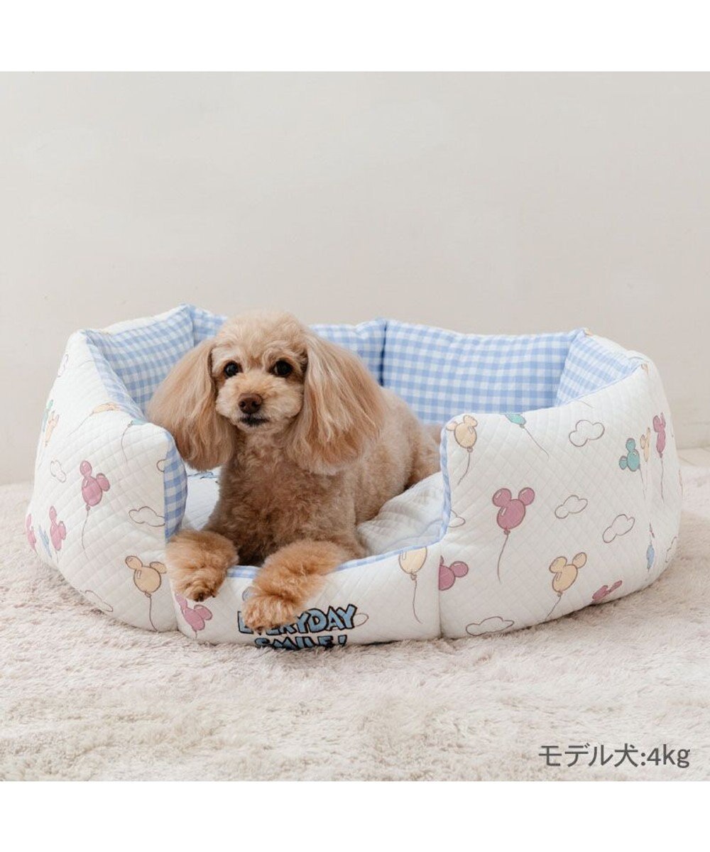 PET PARADISE ディズニー ミッキーマウス カドラー 《風船柄》  Ｍ 64×48cm 