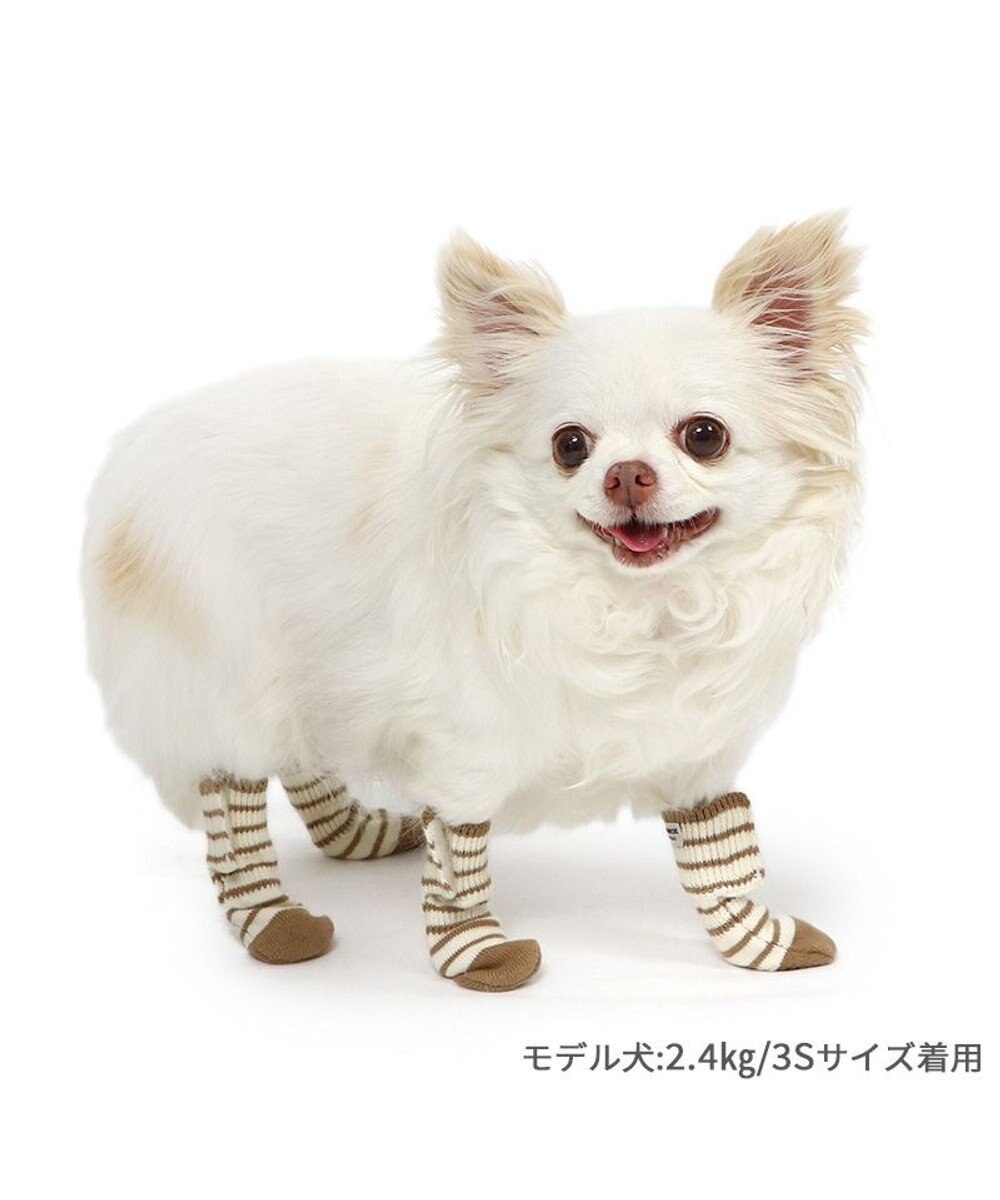 PET PARADISE ペットパラダイス makokoro スリット 靴下 《ボーダー》  Ｓ 小型犬 
