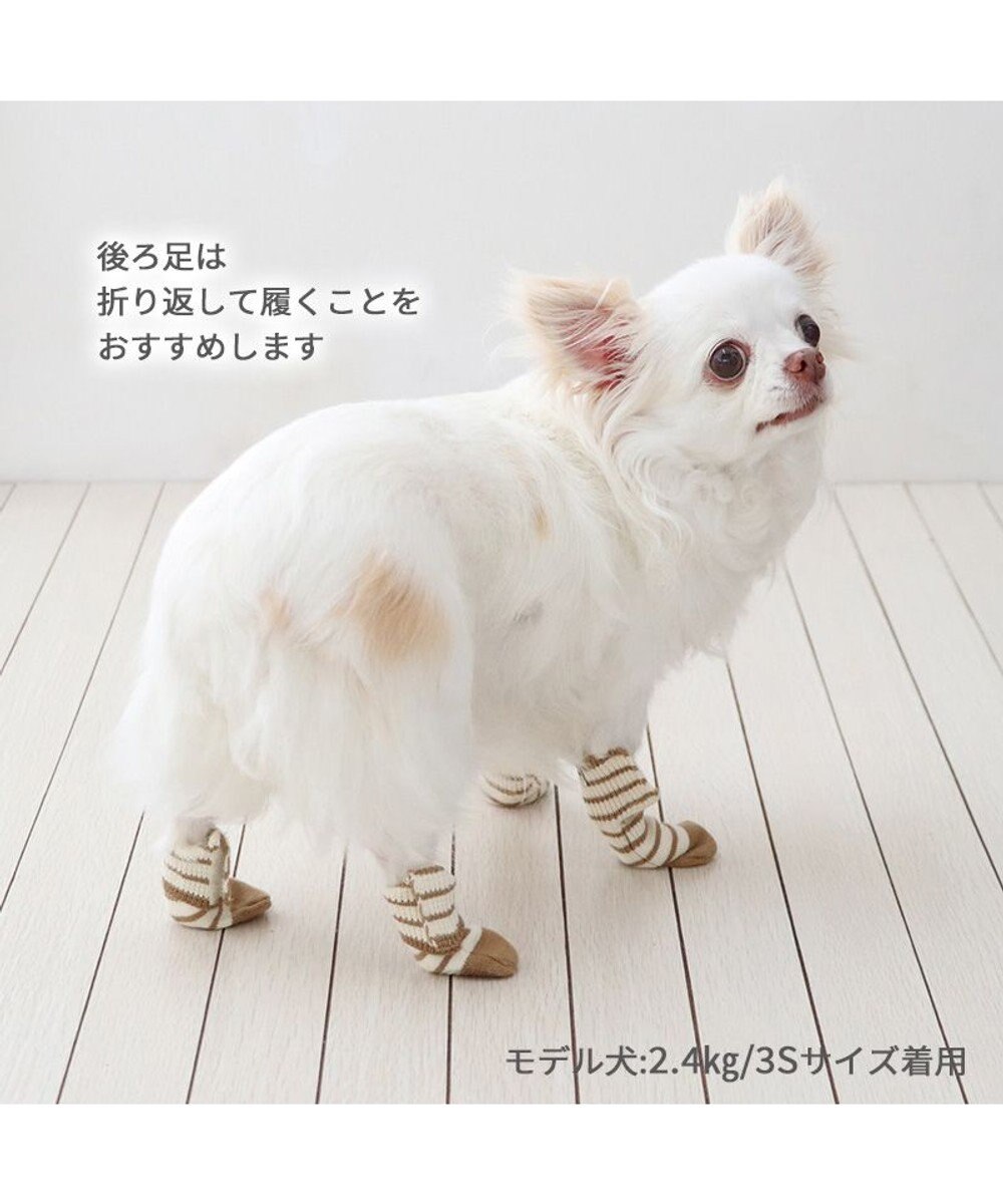 PET PARADISE ペットパラダイス makokoro スリット 靴下 《ボーダー》  Ｓ 小型犬 