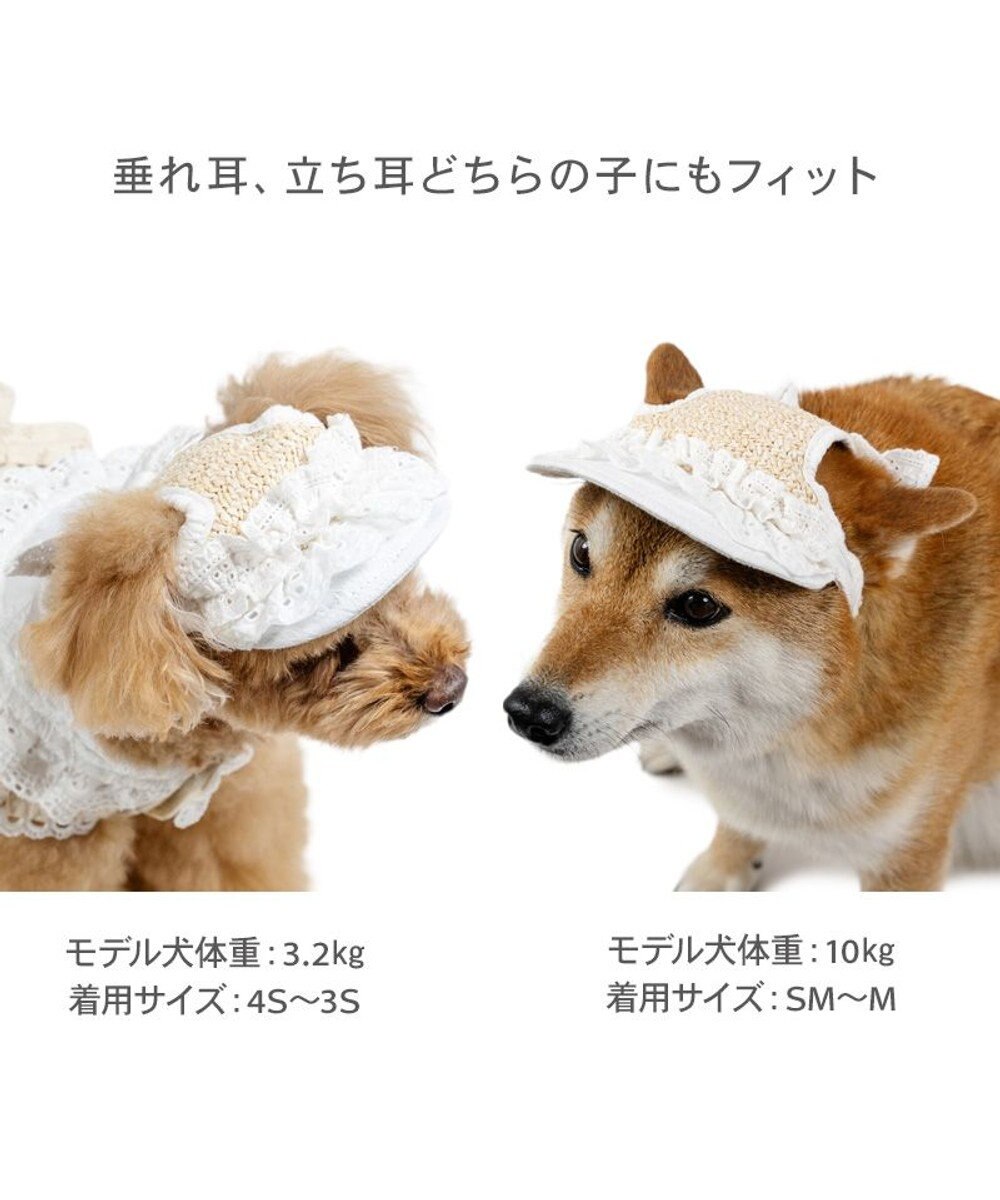 PET PARADISE ペットパラダイス フリル キャップ ＳＭ～Ｍ/Ｌ 