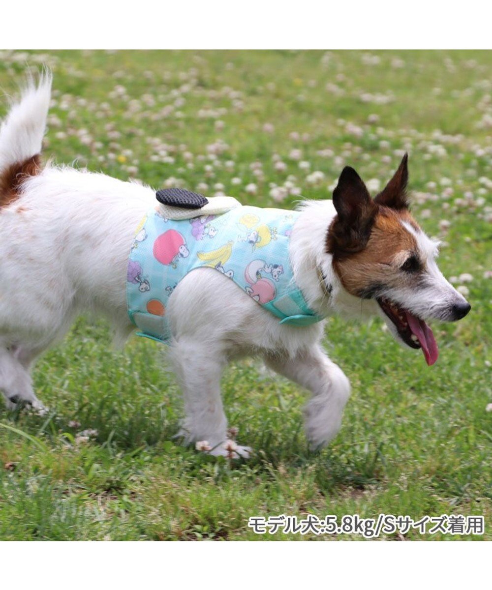 PET PARADISE スヌーピー クールベスト 《果物柄》 小型犬 