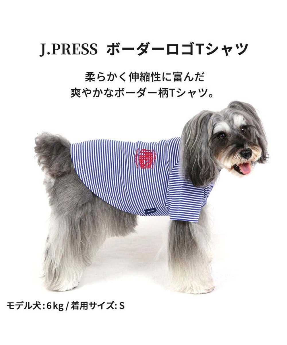 PET PARADISE 犬の服 犬 冬服 tシャツ J.PRESS【小型犬】 ボーダー ロゴ 