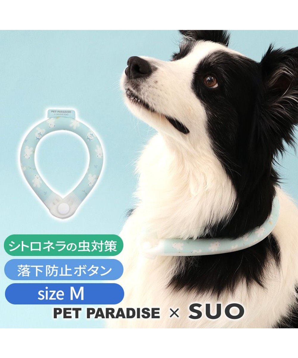 PET PARADISE ペットパラダイス 28℃クールリング SUO 《くま柄》 〔Ｍ〕 中型犬 