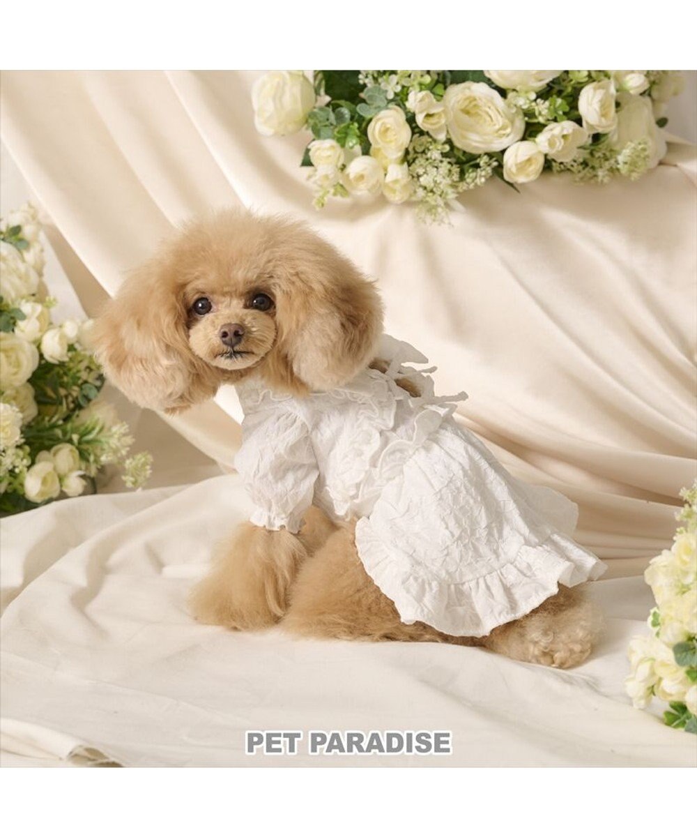 PET PARADISE cherircouture フリルリボン ワンピース 《ホワイト》 小型犬 
