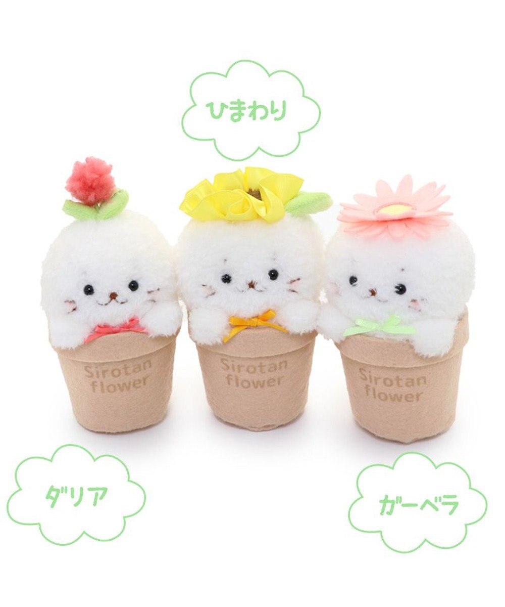 Mother garden しろたん フラワー マスコット8.5cm　《ダリア / ひまわり / ガーベラ 》 単品 