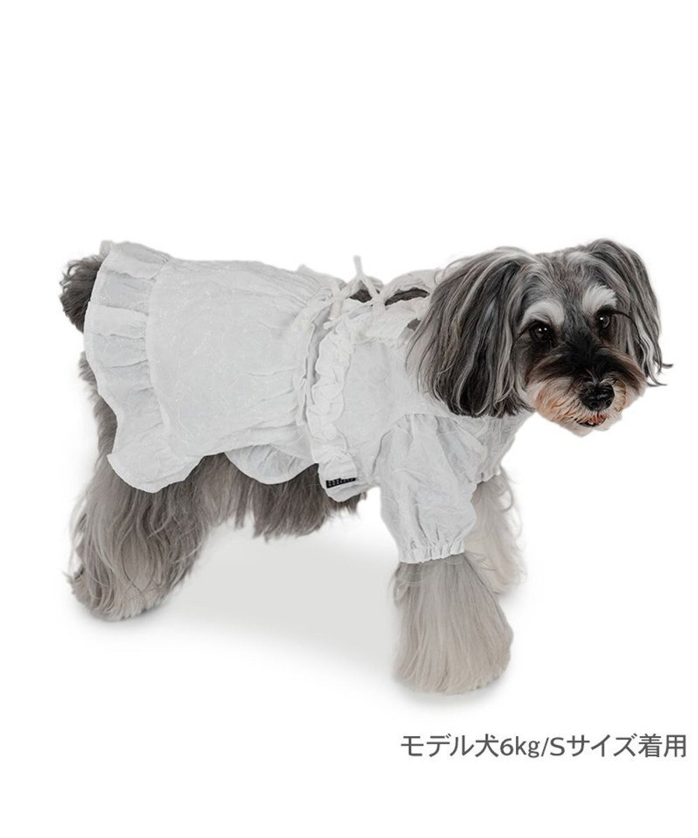 PET PARADISE cherircouture フリルリボン ワンピース 《ホワイト》 小型犬 