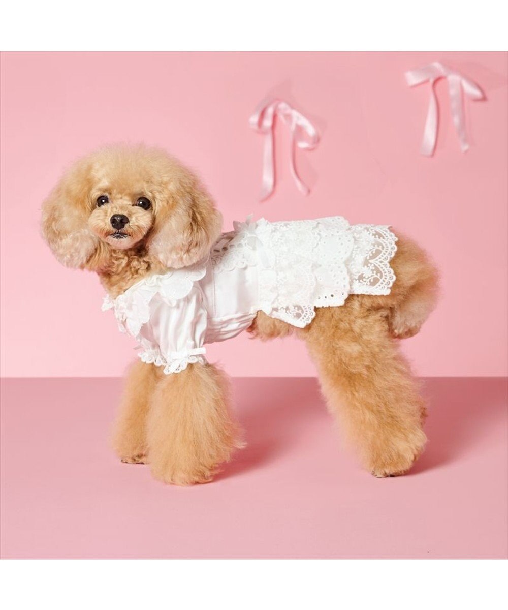 PET PARADISE cherircouture レースフリル ワンピース 小型犬 