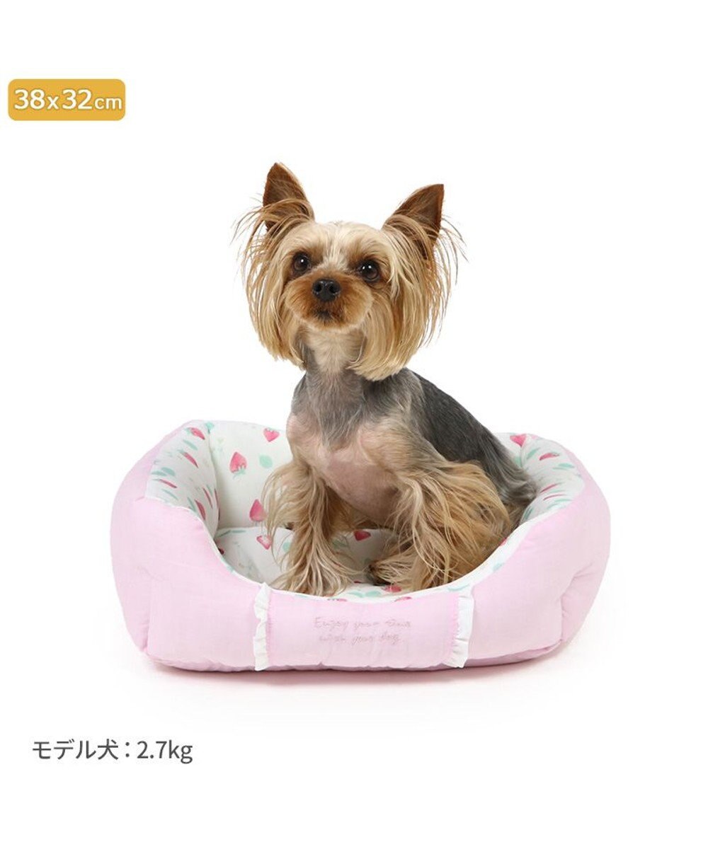 PET PARADISE ペットパラダイス クールカドラー 角型《いちご＆お花柄》 超小型犬 38×32cm S 