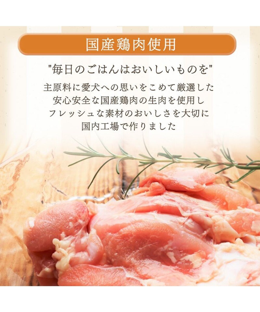 PET PARADISE ペットパラダイス 国産 ドッグフード ビオキッチン 1kg ＆ フローラ 1kg 