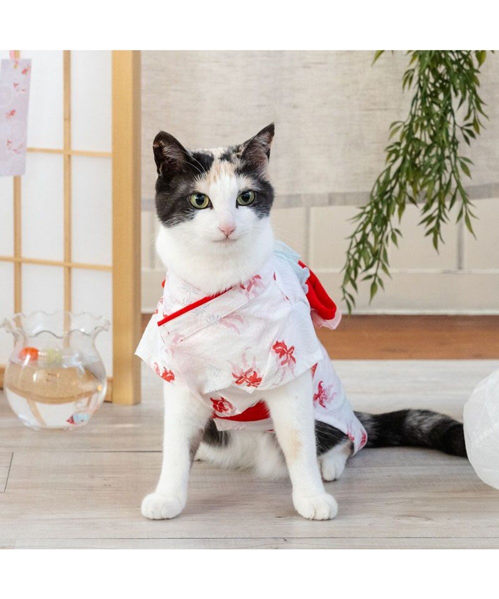 PET PARADISE ペットパラダイス 浴衣 《遊泳金魚》 小型犬 