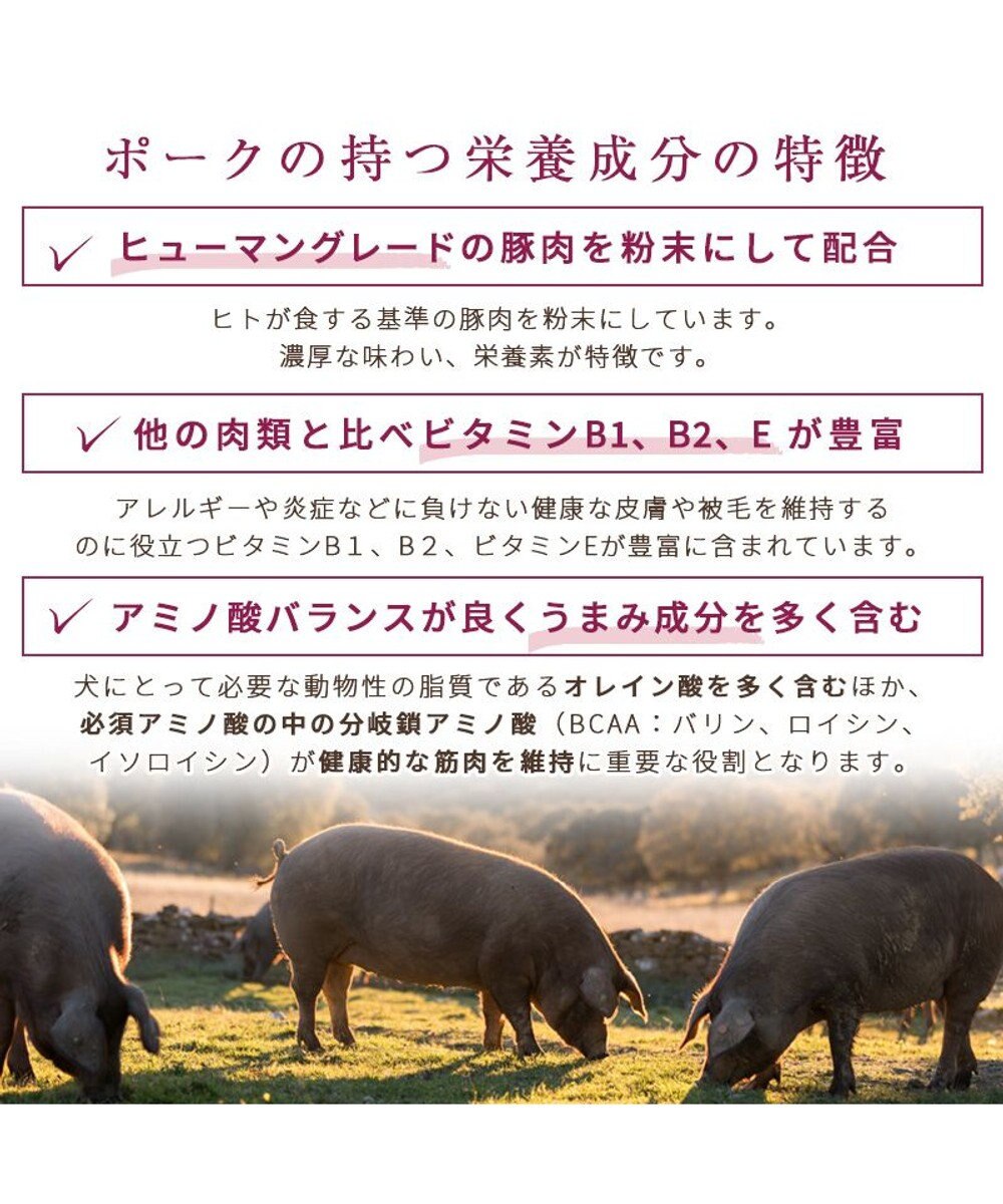 PET PARADISE ペットパラダイス 国産 ドッグフード ビオキッチン 1kg ＆ フローラ 1kg 