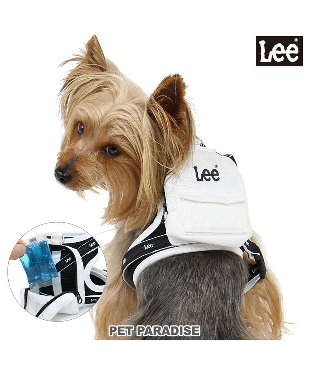 PET PARADISE Lee  ポケットハーネス ３Ｓ 小型犬 