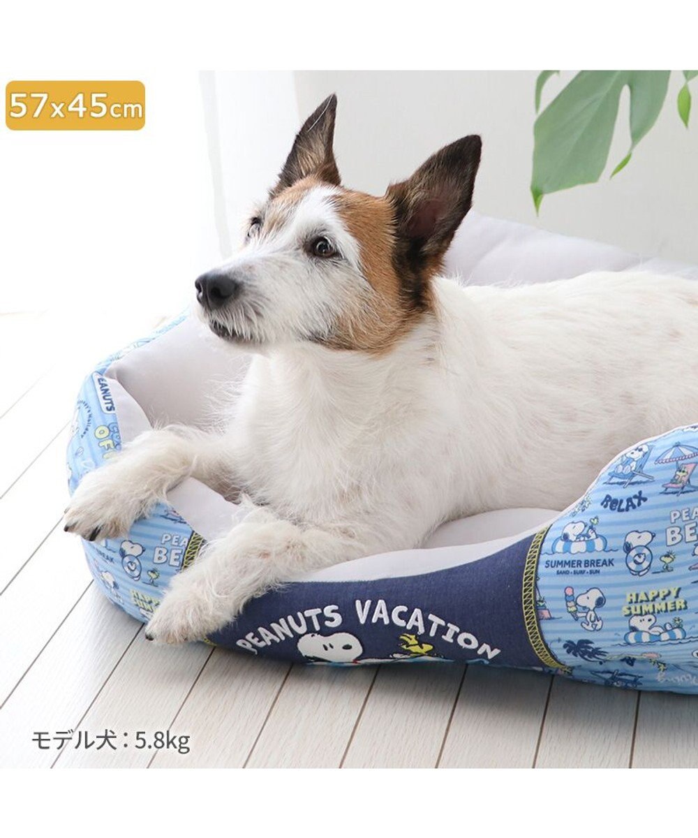 PET PARADISE スヌーピー クールカドラー 角型《バケーション柄》 小型犬 