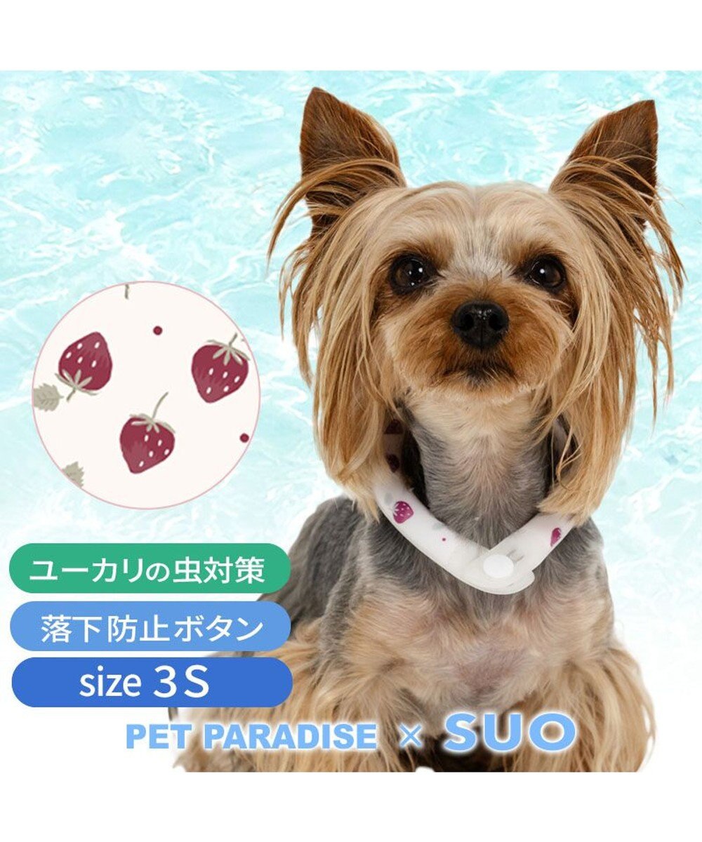 PET PARADISE ペットパラダイス 28℃クールリング 《いちご》 ３Ｓ 小型犬 