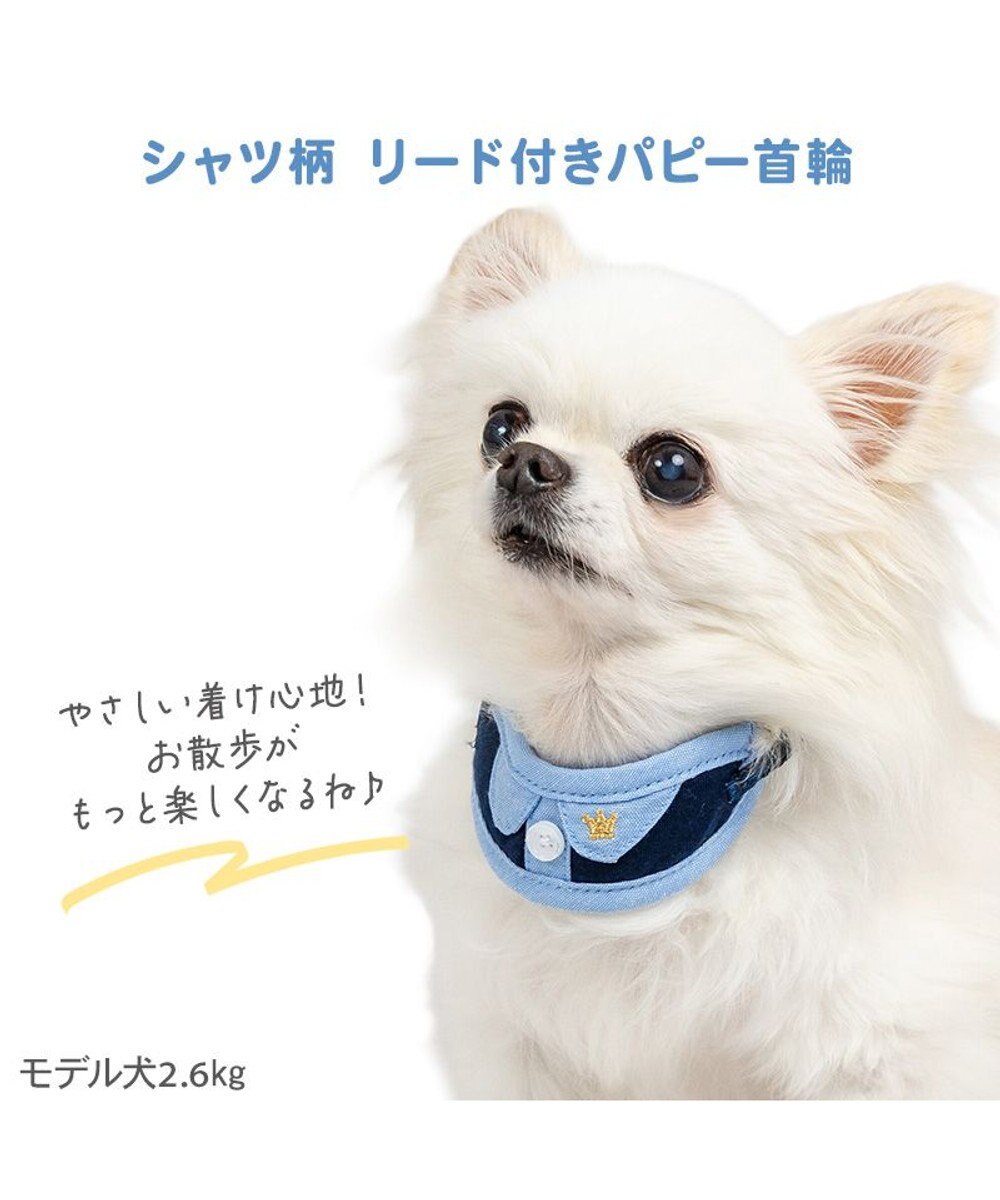 PET PARADISE ペットパラダイス リード付き首輪 《シャツ》 小型犬 