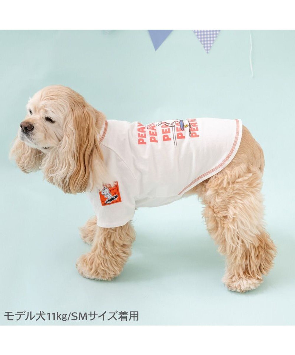 PET PARADISE スヌーピー スケボー Tシャツ 中型犬 大型犬 