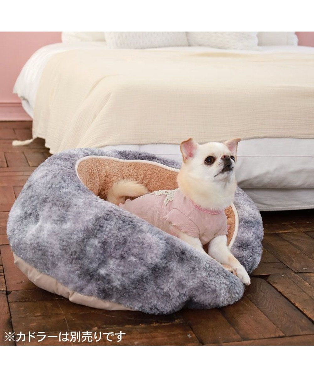 PET PARADISE ペットパラダイス リボン プレミアム ペティヒート Ｔシャツ 超小型犬 小型犬 