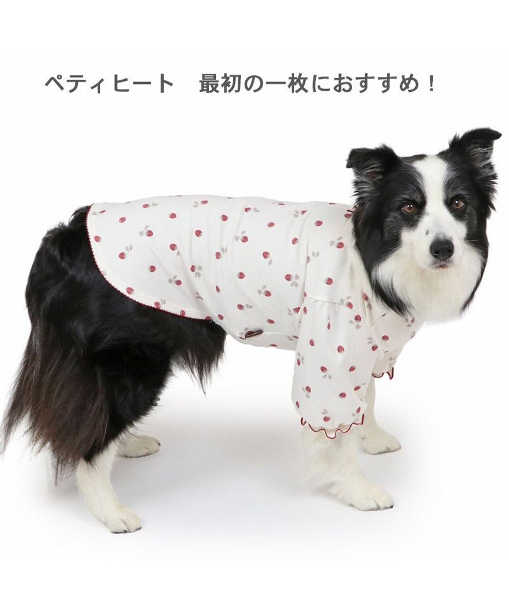 PET PARADISE ペットパラダイス ペティヒート Tシャツ 《苺柄》 中型犬 大型犬 
