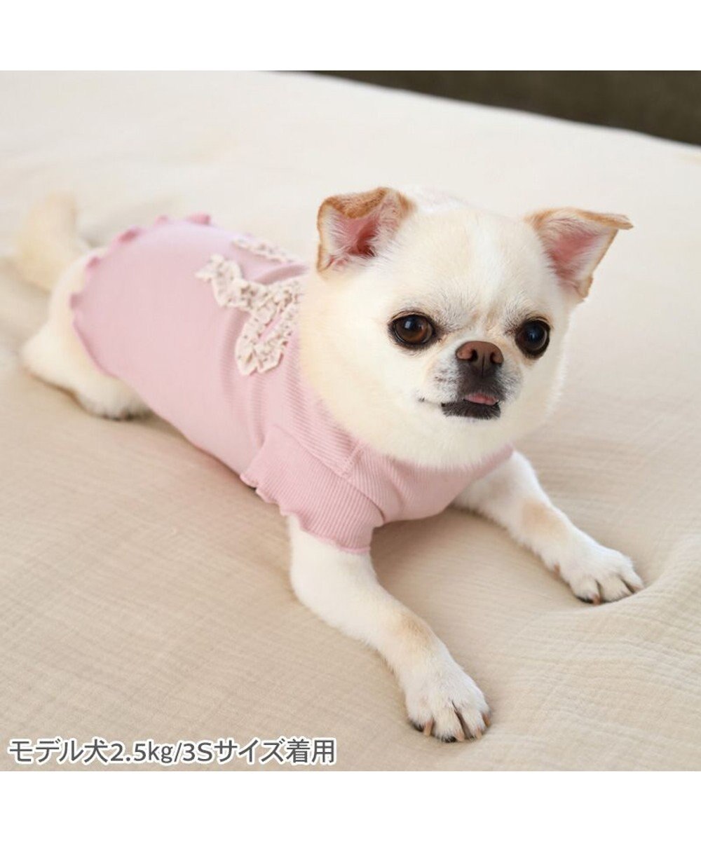 PET PARADISE ペットパラダイス リボン プレミアム ペティヒート Ｔシャツ 超小型犬 小型犬 