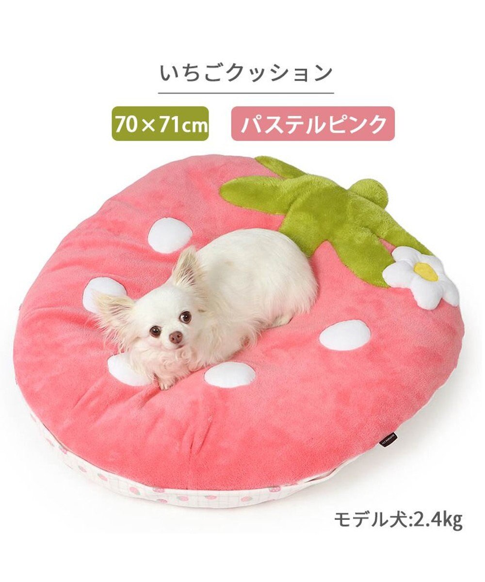 PET PARADISE ネット店限定 ペットパラダイス 春いちご クッション  M 