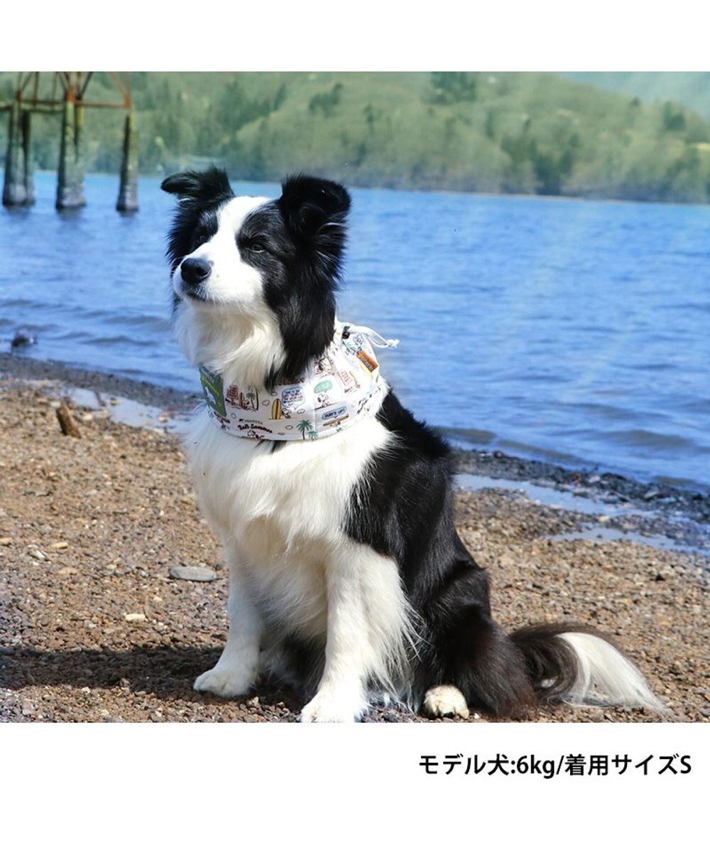 PET PARADISE スヌーピー サーフ柄 クールネック スヌード 《保冷剤付き》【中型犬】【大型犬】 