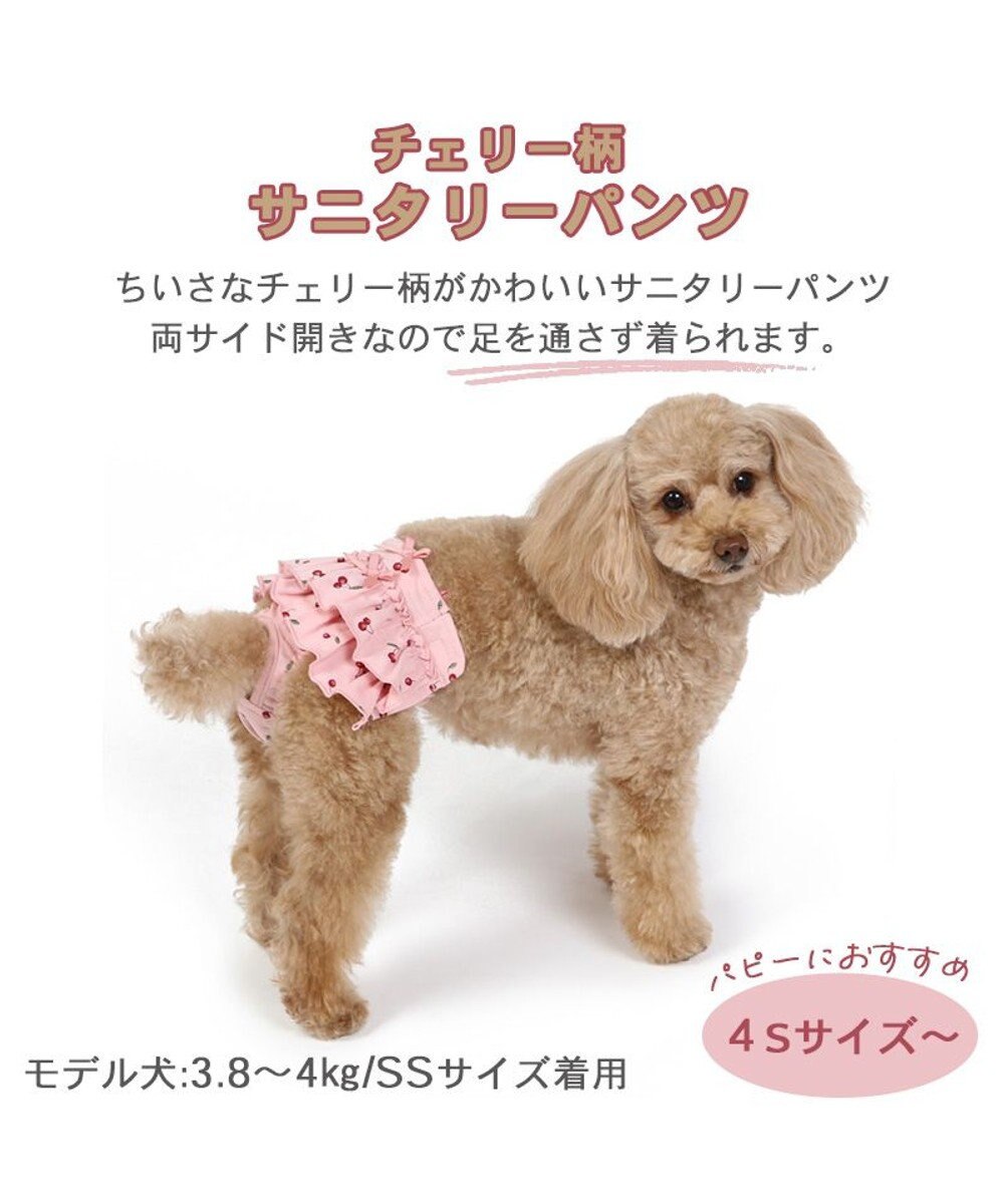 PET PARADISE 犬の服 犬 サニタリーパンツ 【小型犬】 チェリー柄 