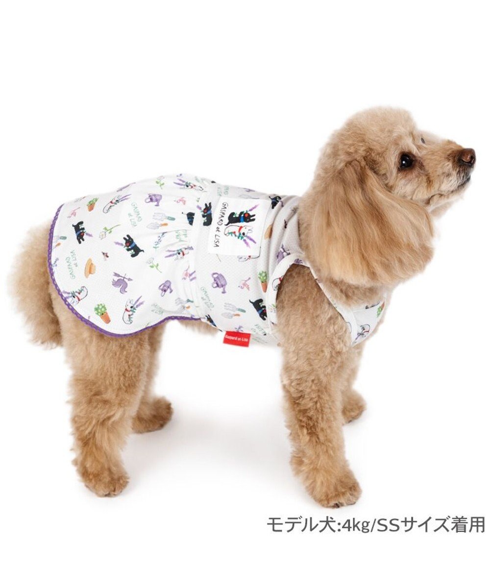 PET PARADISE リサとガスパール エコメイド ワンピース 《ボタニカル》 小型犬 