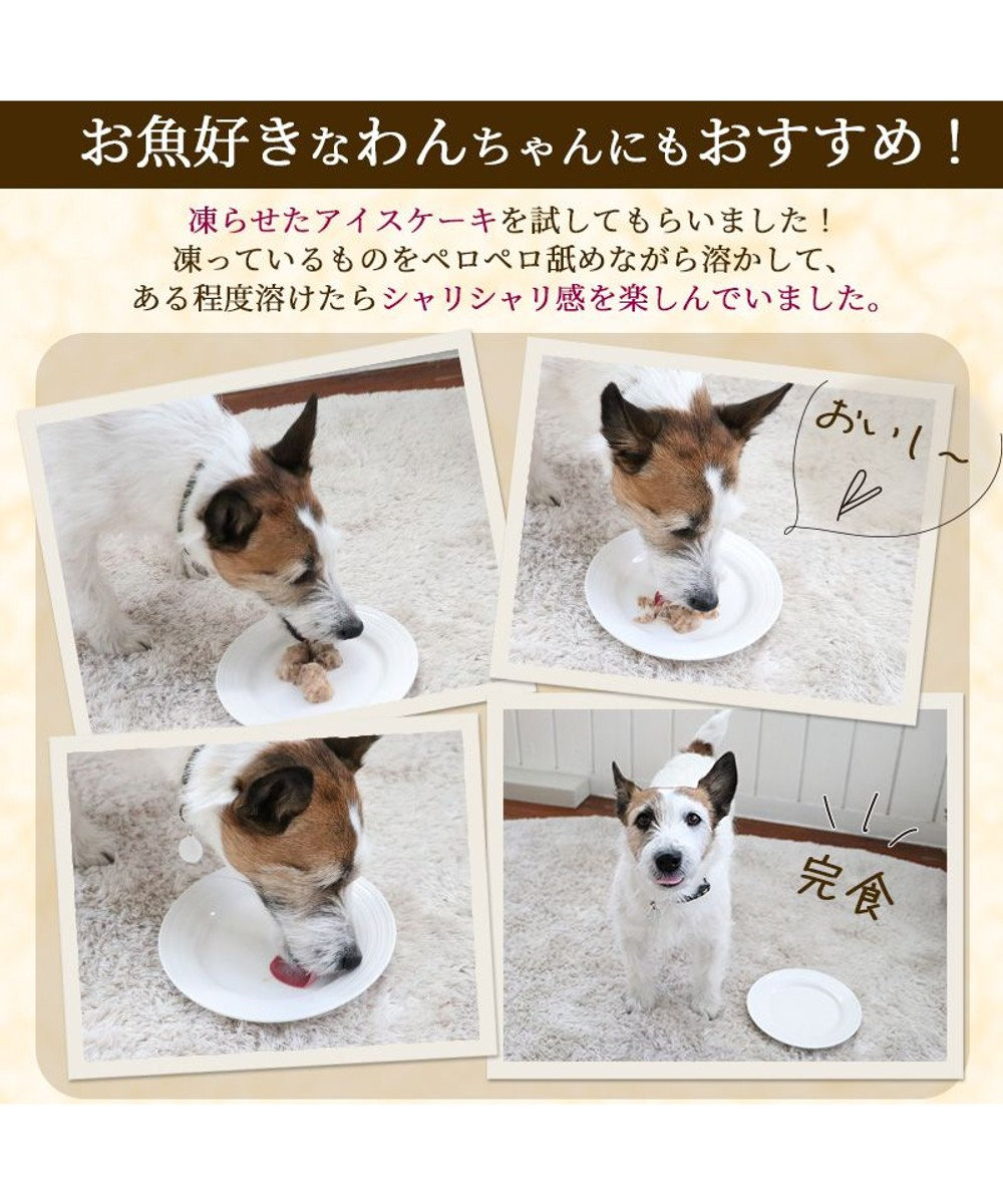 PET PARADISE キャットフード ウェット 缶 まぐろほぐし 75ｇ 《しらす/ 紅鮭/ ほたて》単品 