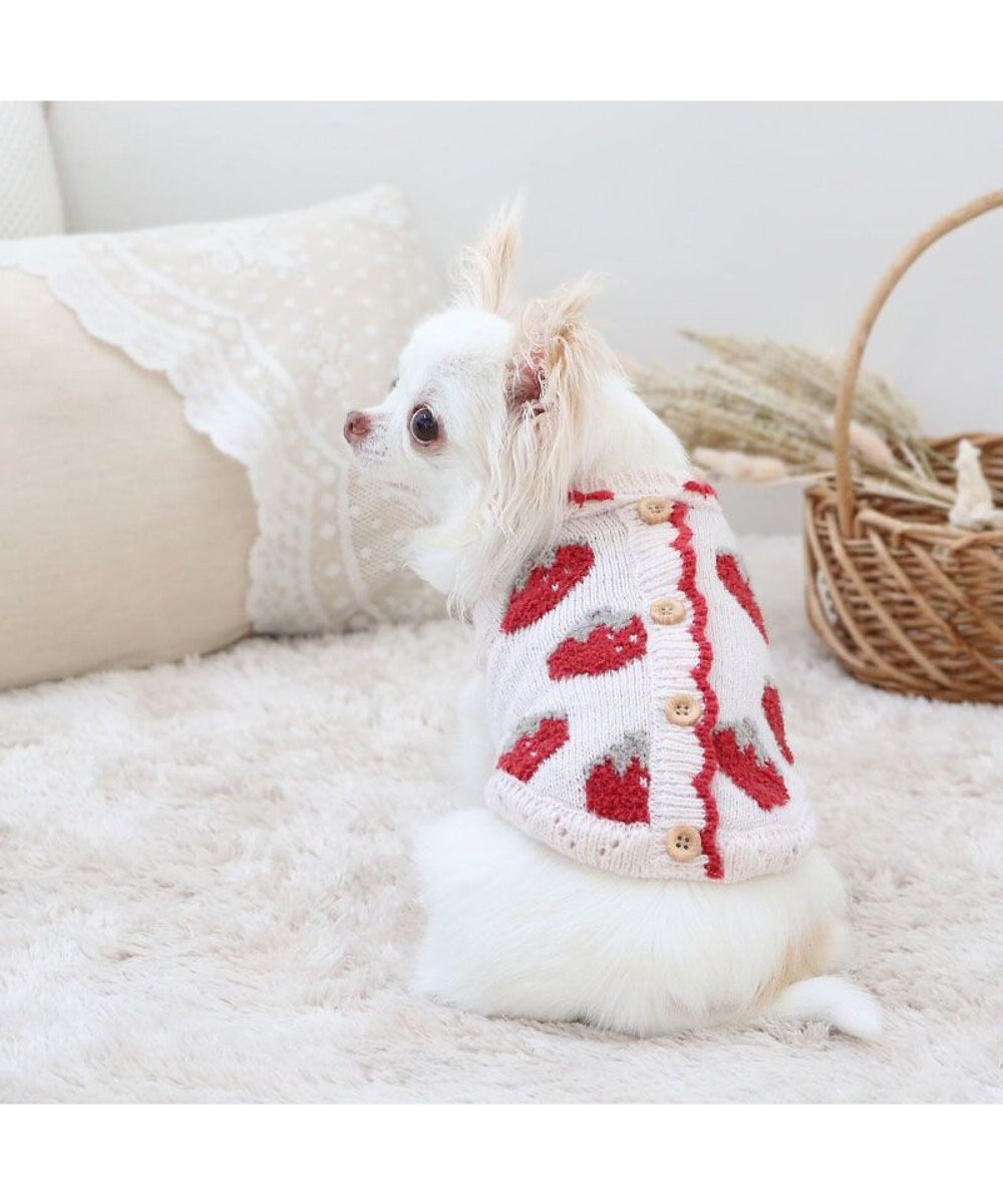 PET PARADISE ペットパラダイス 苺もこセーター  超小型犬 小型犬 
