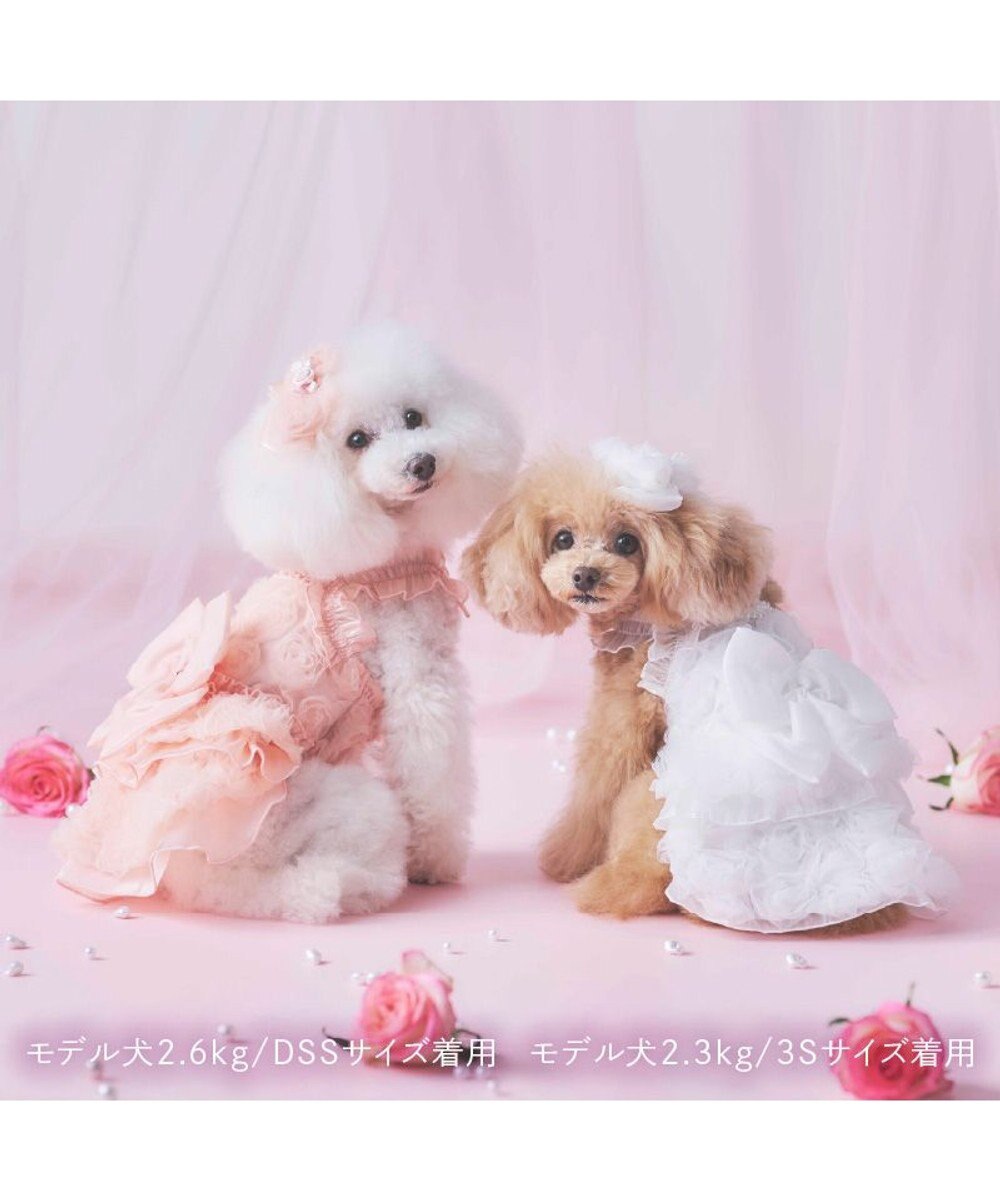 PET PARADISE cherircouture メニーローズ ワンピース ピンク 小型犬 