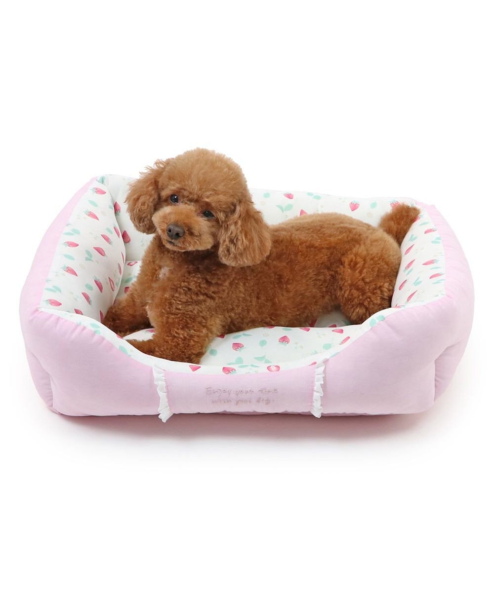 PET PARADISE ペットパラダイス クールカドラー 角型《いちご＆お花柄》 小型犬 