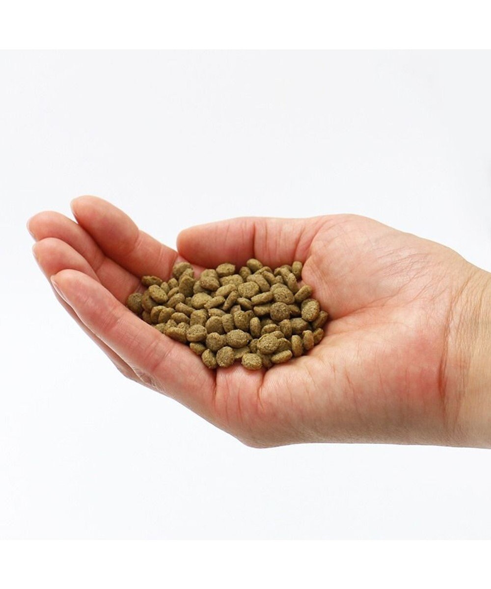 PET PARADISE ペットパラダイス 国産 ドッグフード ビオキッチン 1kg 