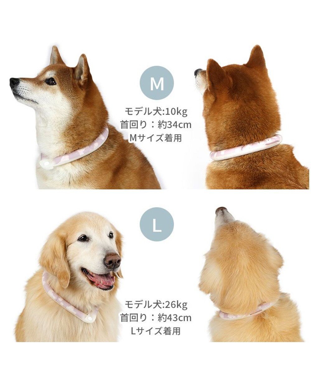 PET PARADISE ペットパラダイス 28℃クールリング  《くま》 Ｍ 大型犬 
