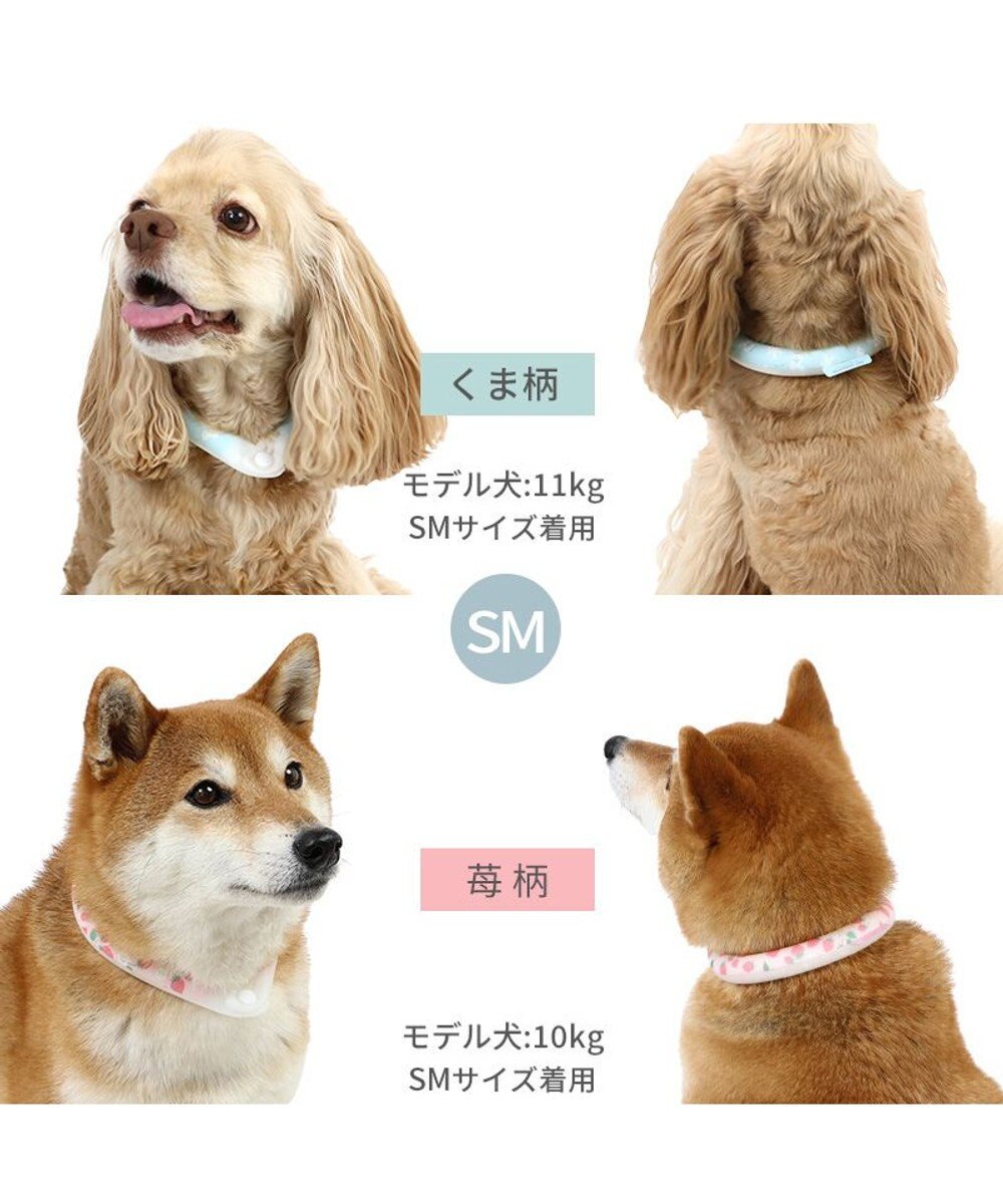 PET PARADISE ペットパラダイス 28℃クールリング SUO 《くま柄》 〔ＳＭ〕 中型犬 