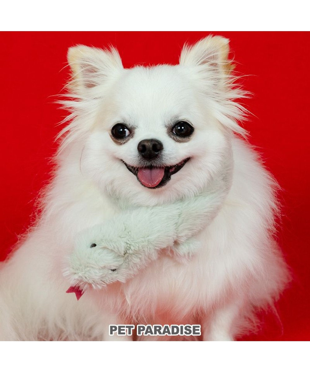 PET PARADISE ペットパラダイス 干支 巳 マフラー 《 グリーン》 小型犬 ＳＳ～ＳＭ・ＤＳ・ＤＭ 