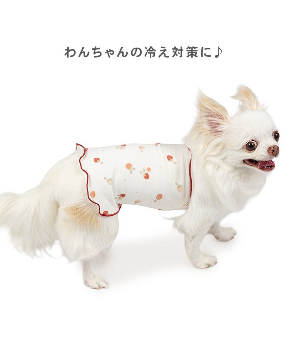 PET PARADISE ペットパラダイス ペティヒート 天竺 腹巻 《いちご柄》 小型犬 