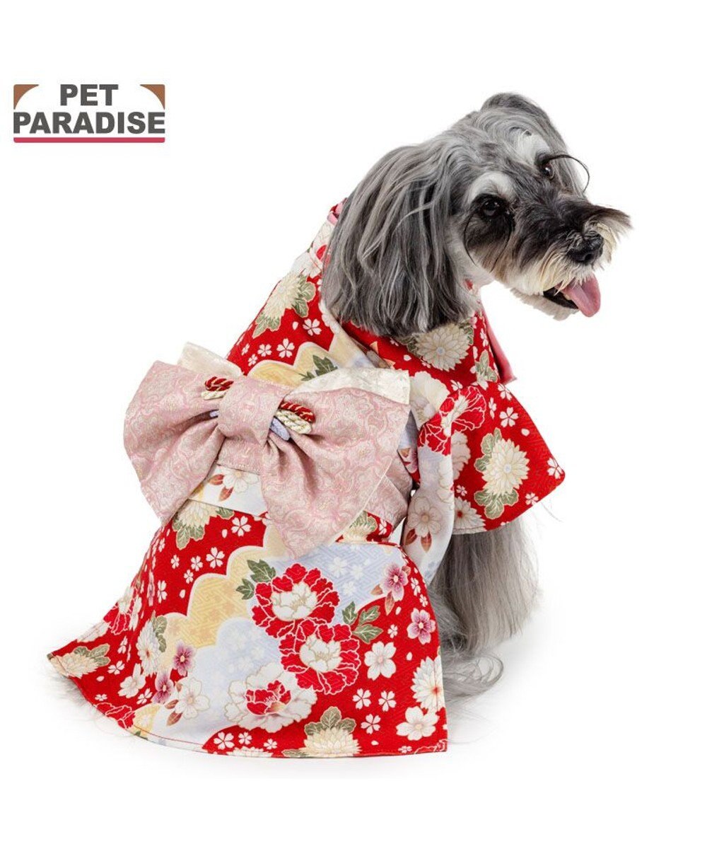 PET PARADISE ペットパラダイス 菊 牡丹 着物 小型犬 