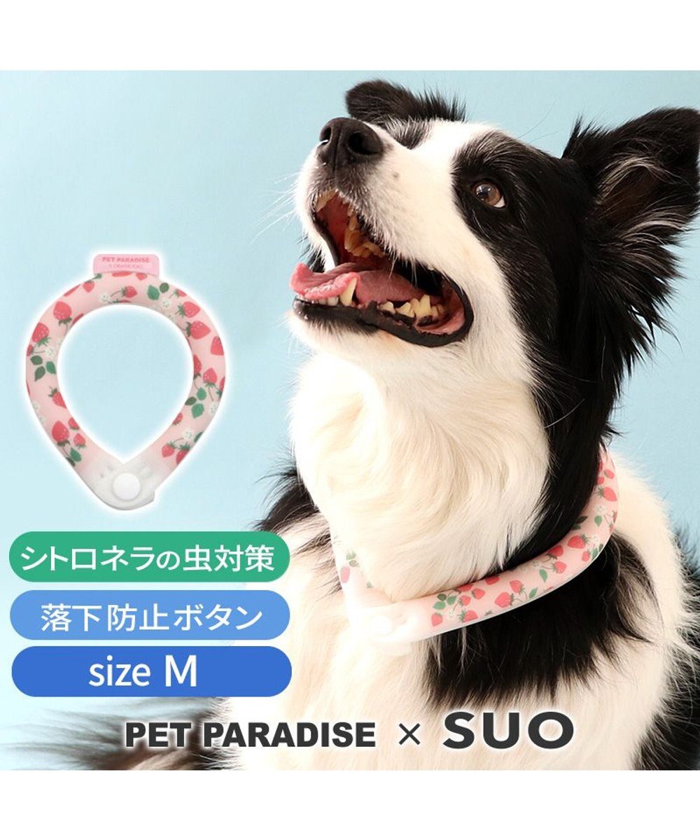 PET PARADISE ペットパラダイス 28℃クールリング SUO 《いちご柄》 〔Ｍ〕 中型犬 
