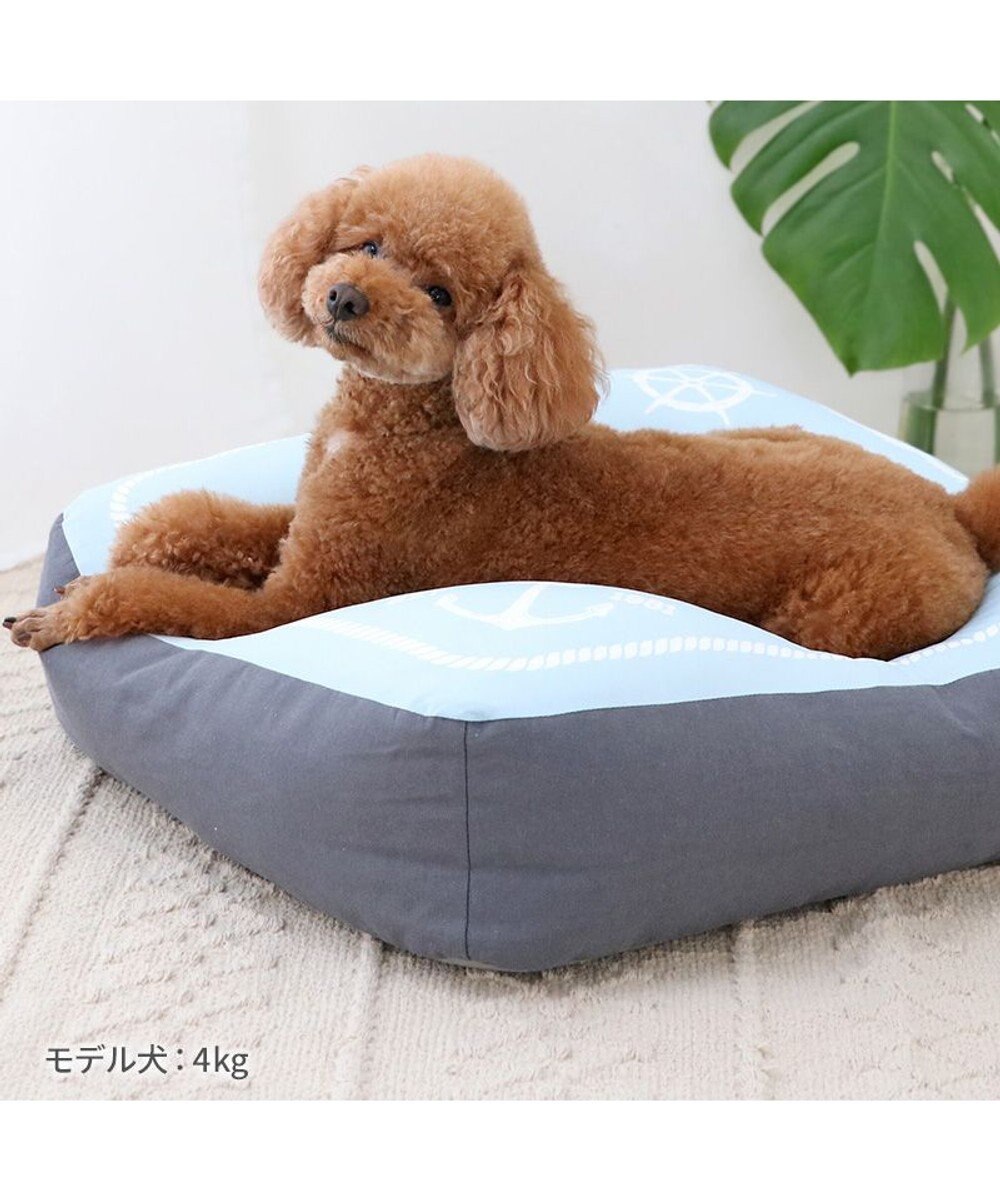 PET PARADISE ペットパラダイス  もちもち クールクッション 