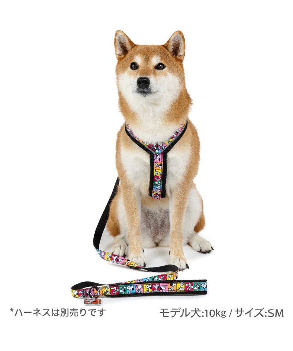 PET PARADISE スヌーピー 75周年 リード 中型犬 大型犬 M～L 
