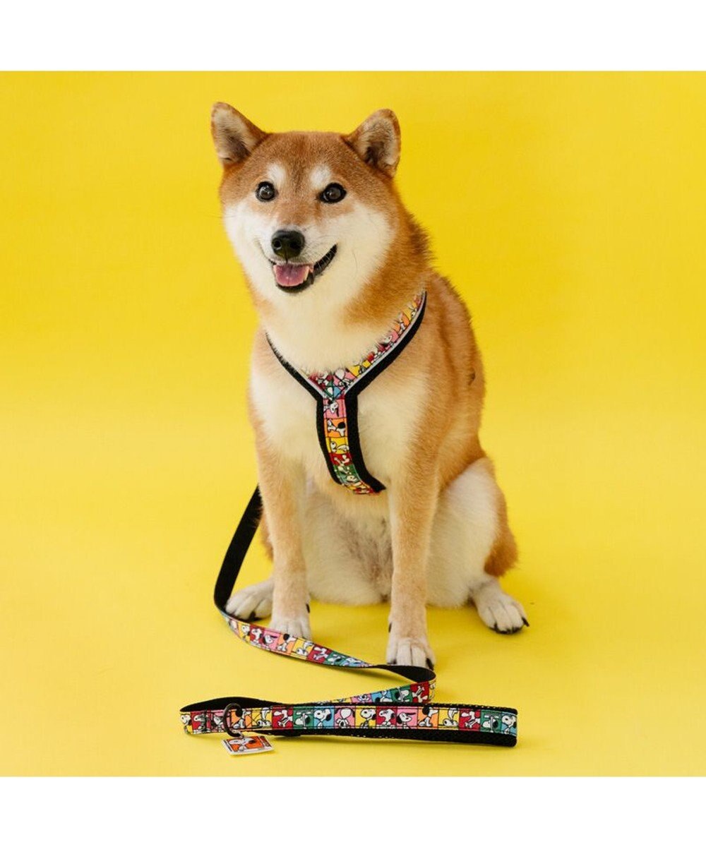 PET PARADISE スヌーピー 75周年 リード 中型犬 大型犬 M～L 