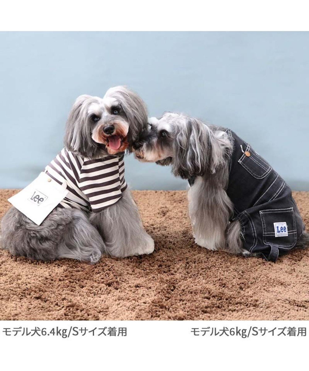 PET PARADISE Lee ショルダー ボーダー Ｔシャツ 小型犬 
