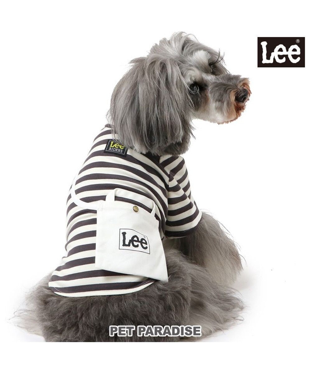 PET PARADISE Lee ショルダー ボーダー Ｔシャツ 小型犬 