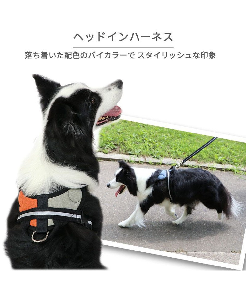 PET PARADISE ヘッドインハーネス  【Ｍ】オレンジ / ブルー 【中型犬 大型犬】 