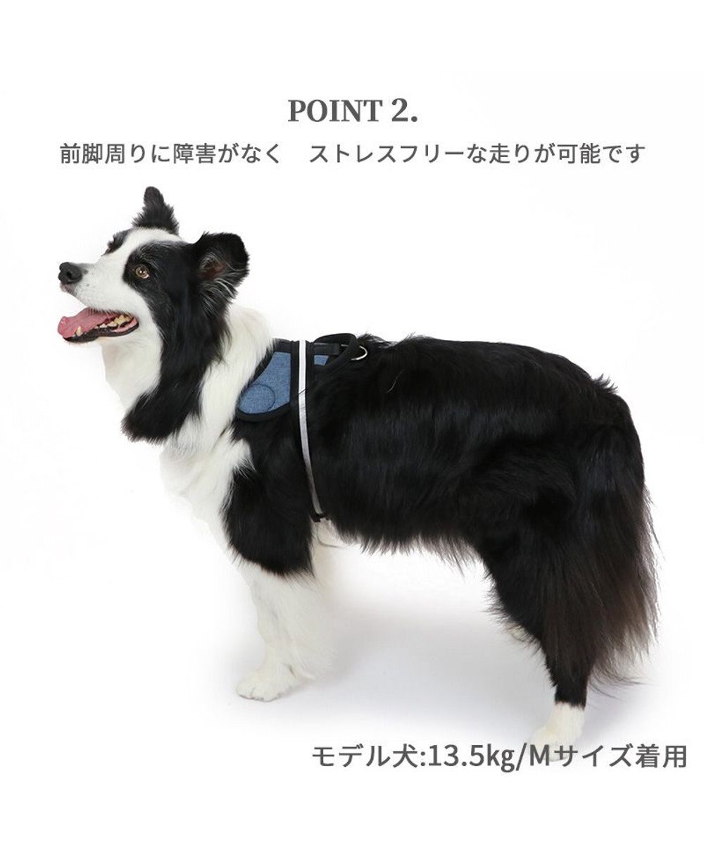 PET PARADISE ヘッドインハーネス  【Ｍ】オレンジ / ブルー 【中型犬 大型犬】 